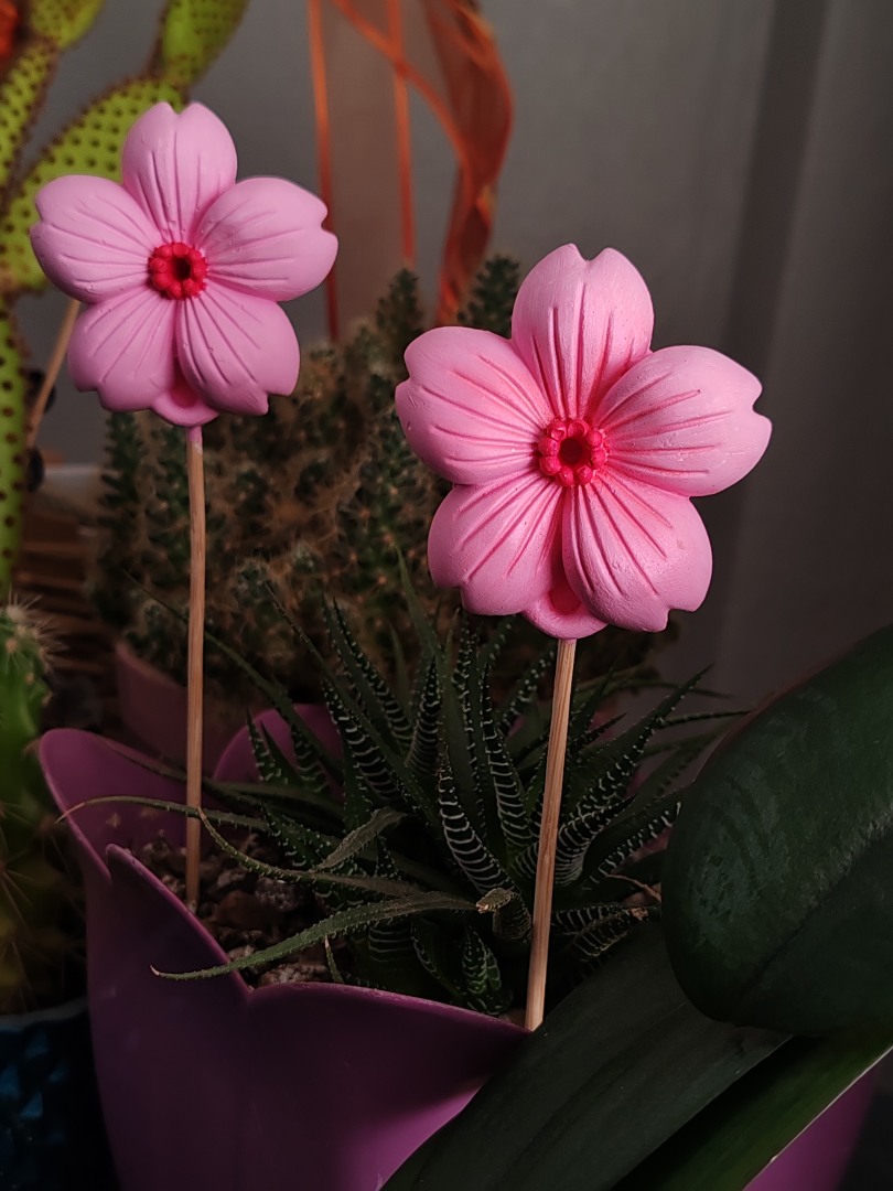 'Pembe Bahar' Kiraz Çiçeği Saksı Süsü (2 adet)