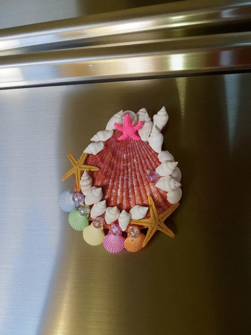 “Kıyı Masalı Koleksiyonu” El Yapımı Deniz Kabuklu Magnet 3