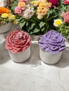 'Bloom Candles'  Serisi 1 - Dekoratif Gül Kurusu Şakayık Çiçekli Blok Mum