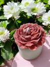 'Bloom Candles'  Serisi 1 - Dekoratif Gül Kurusu Şakayık Çiçekli Blok Mum