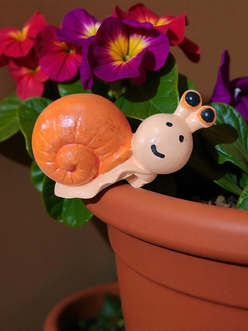 'Neşeli Saly' Salyangoz Saksı Süsü 6  (1 adet)