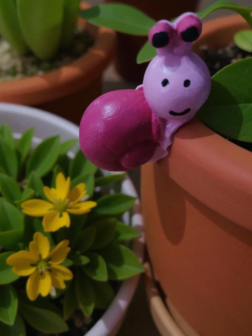 'Neşeli Saly' Salyangoz Saksı Süsü 5 (1 adet)