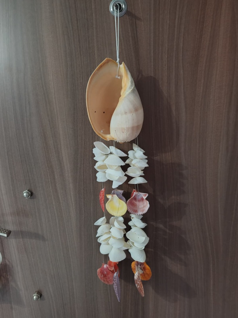 İthal Littup Deniz Kabuklu Melo Sarkaç Rüzgar Çanı