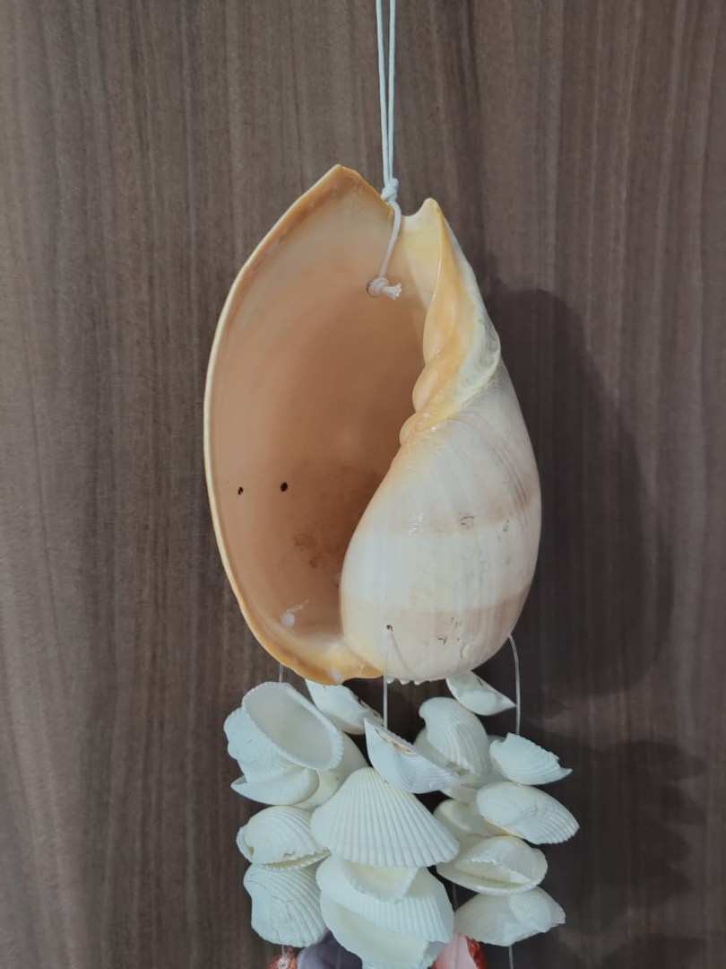 İthal Littup Deniz Kabuklu Melo Sarkaç Rüzgar Çanı