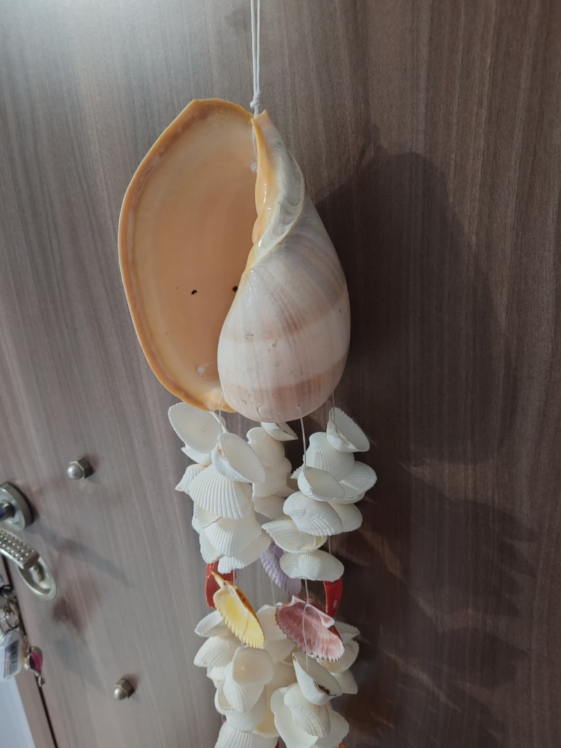 İthal Littup Deniz Kabuklu Melo Sarkaç Rüzgar Çanı