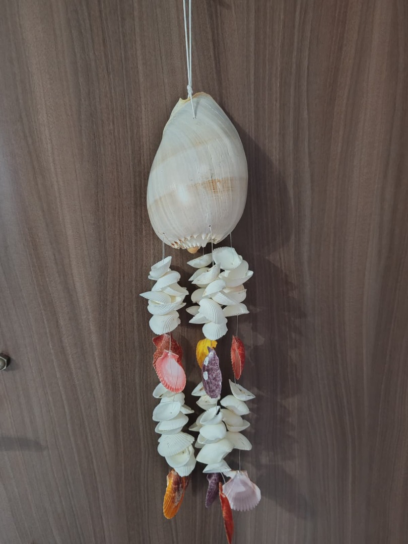 İthal Littup Deniz Kabuklu Melo Sarkaç Rüzgar Çanı