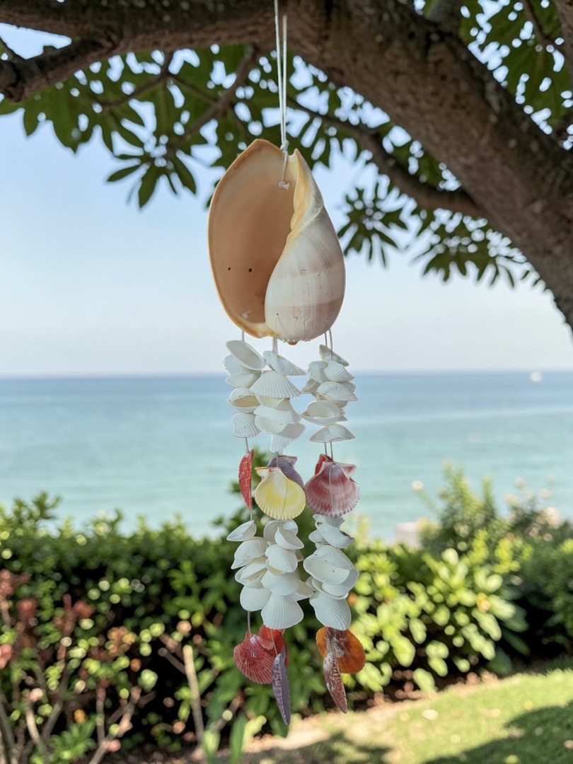 İthal Littup Deniz Kabuklu Melo Sarkaç Rüzgar Çanı